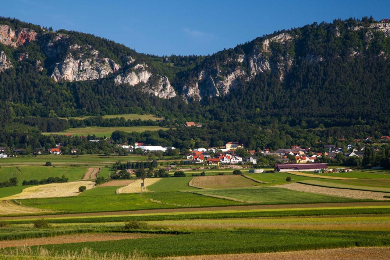 Farmhouse - Hohe Wand Hotel Stollhof Exterior photo